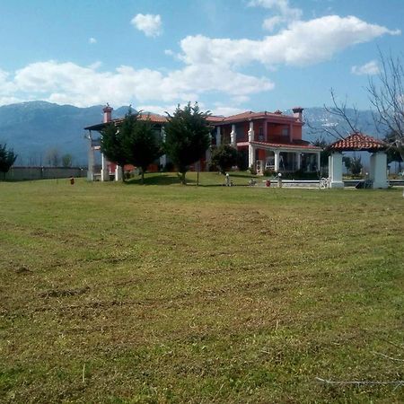 Αρχοντικό Παπανικολάου Villa Ligaria  Luaran gambar