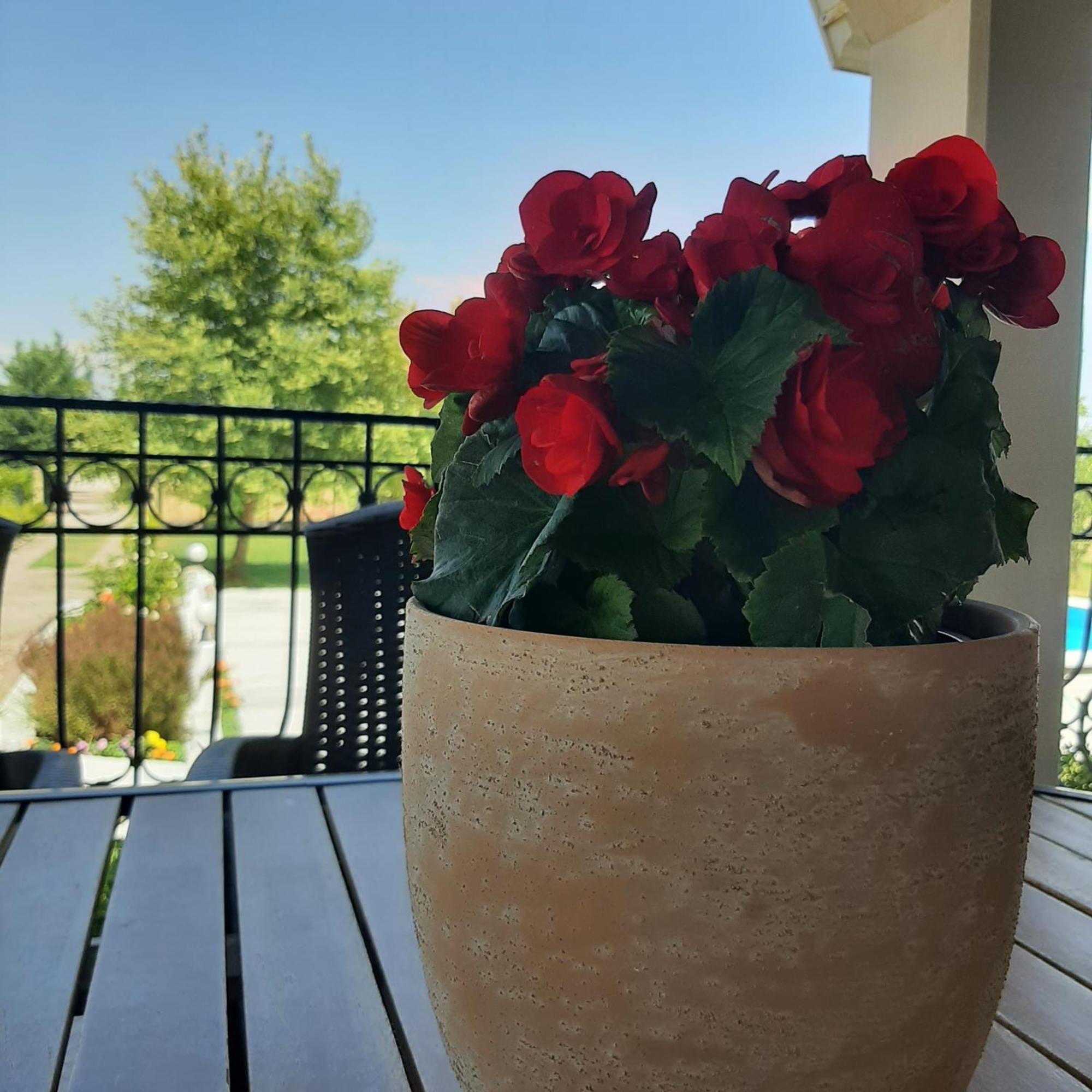 Αρχοντικό Παπανικολάου Villa Ligaria  Luaran gambar