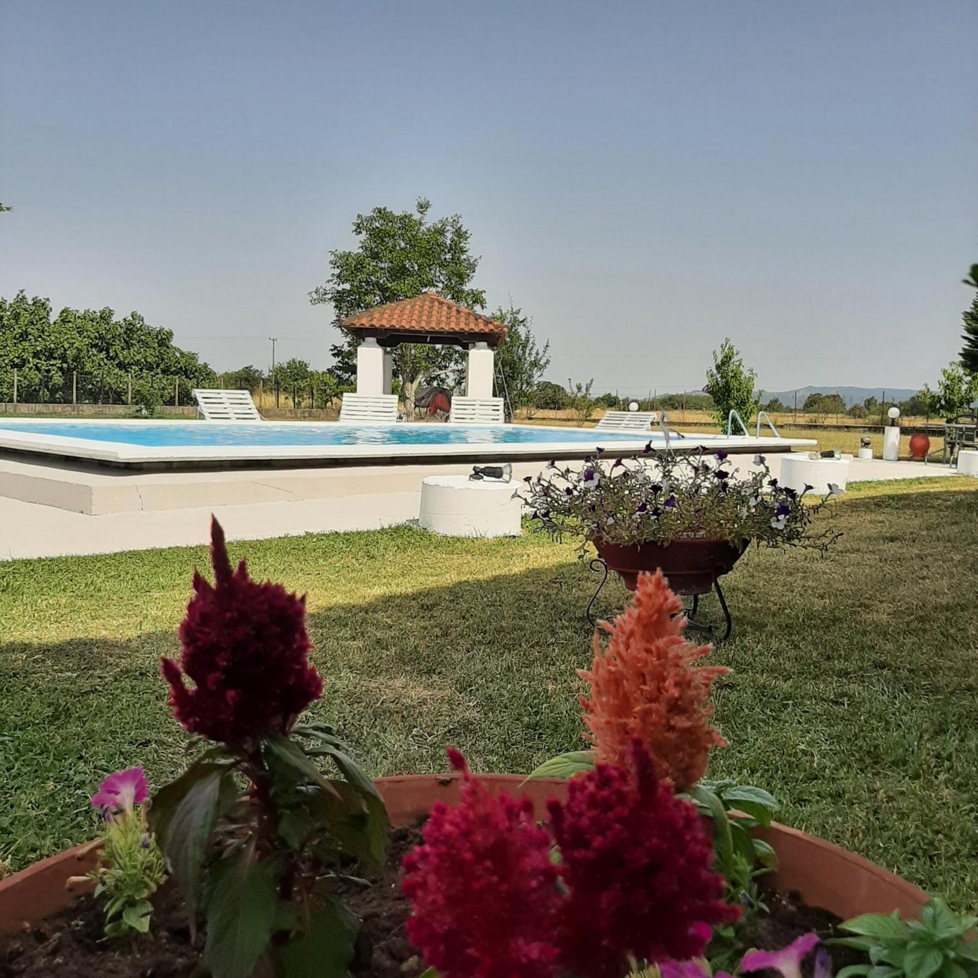 Αρχοντικό Παπανικολάου Villa Ligaria  Luaran gambar